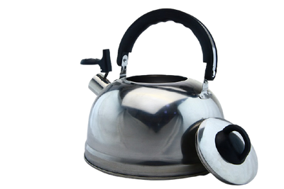 Stainless steel kettle