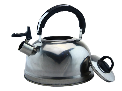 Stainless steel kettle