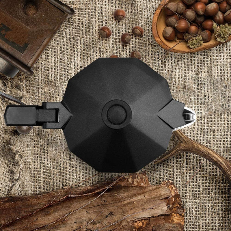 Portable coffee kettle with concentrate drip filter