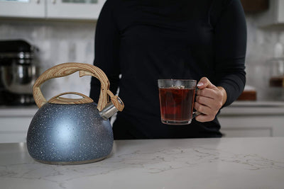 Stainless steel tea kettle with whistle 3 liters