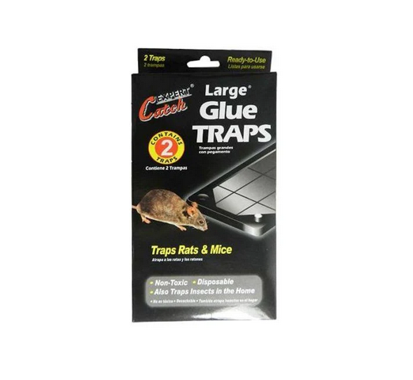 Glue traps for mice and rats - large